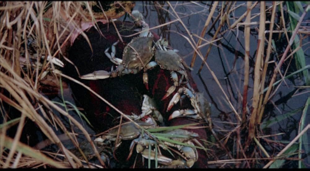 吸血の群れの画像