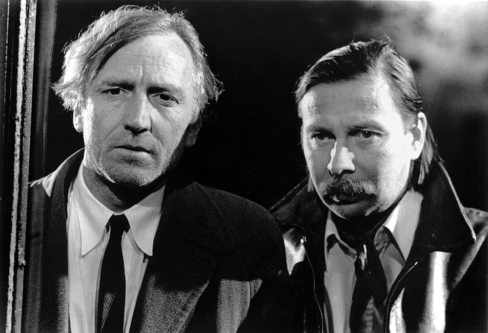 ラヴィ・ド・ボエームの画像