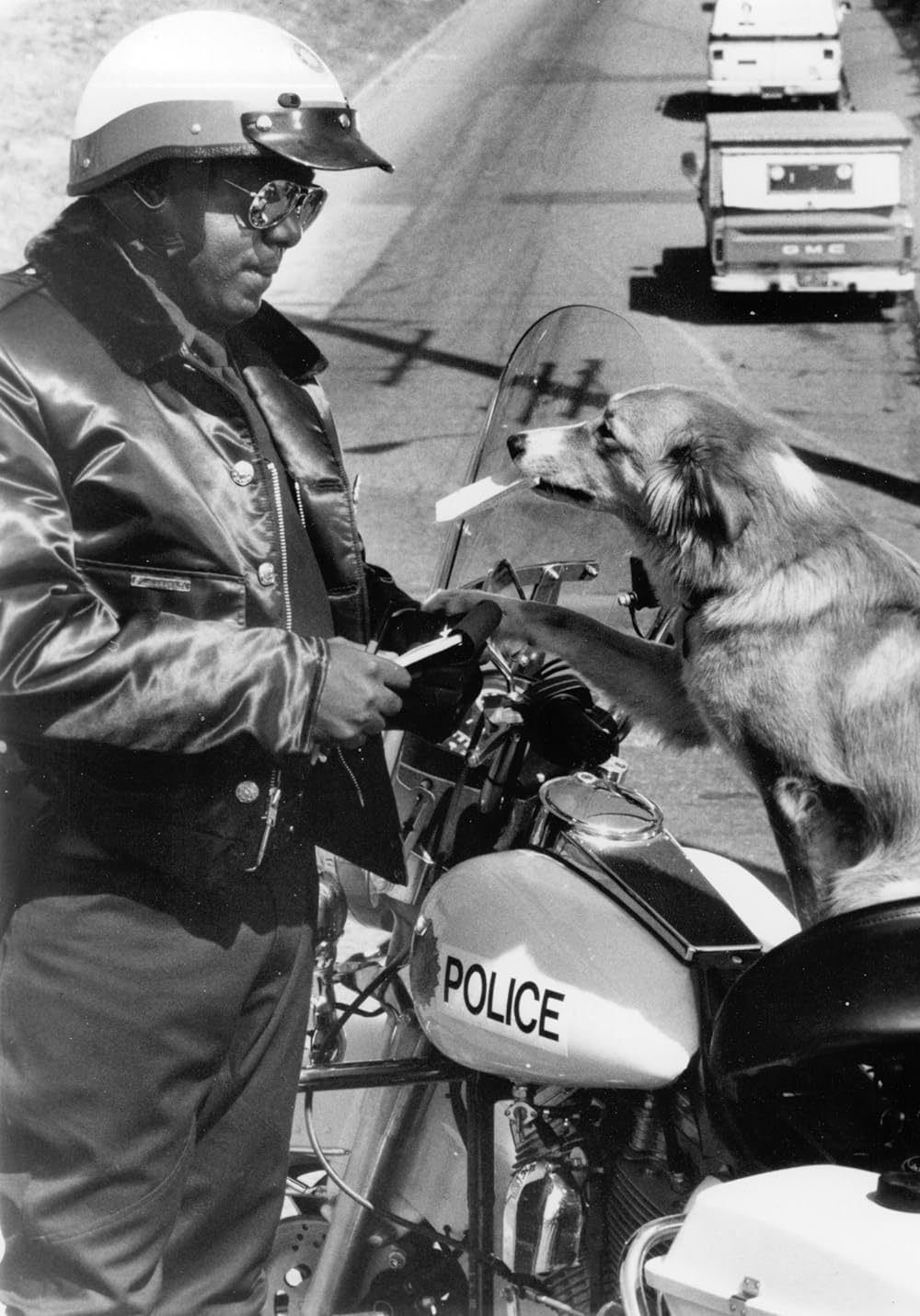 ビンゴ！の画像