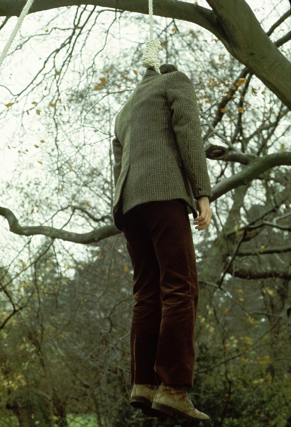 若妻・恐怖の体験学習の画像