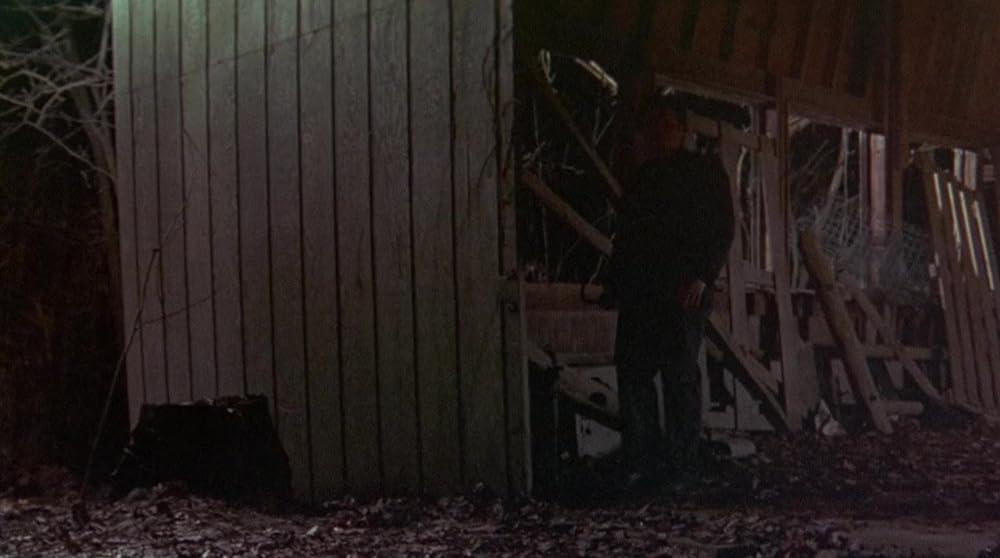 ヘンリー もう一つの連続殺人鬼の記録の画像