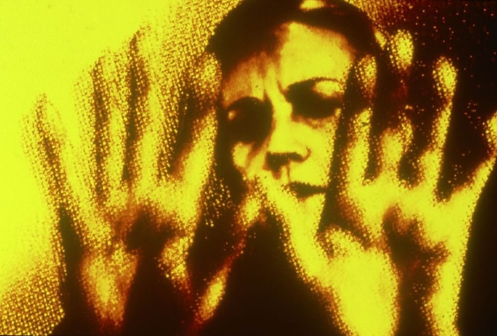 夢の涯てまでもの画像