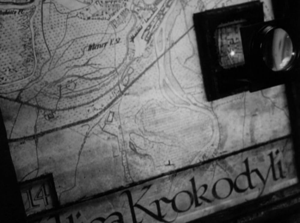 ストリート・オブ・クロコダイルの画像