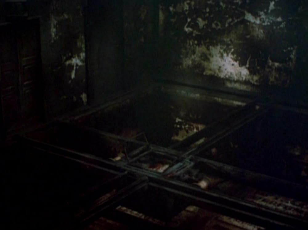 ストリート・オブ・クロコダイルの画像