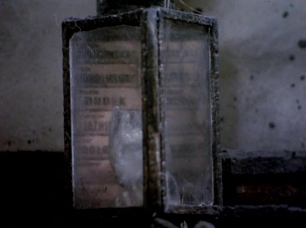 ストリート・オブ・クロコダイルの画像