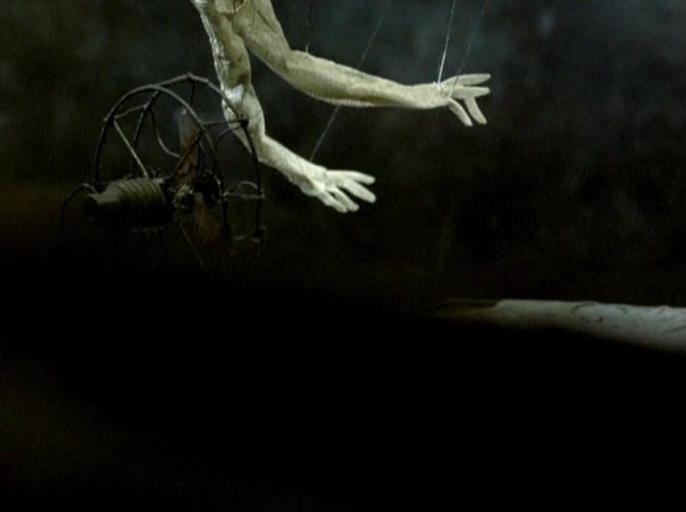 ストリート・オブ・クロコダイルの画像