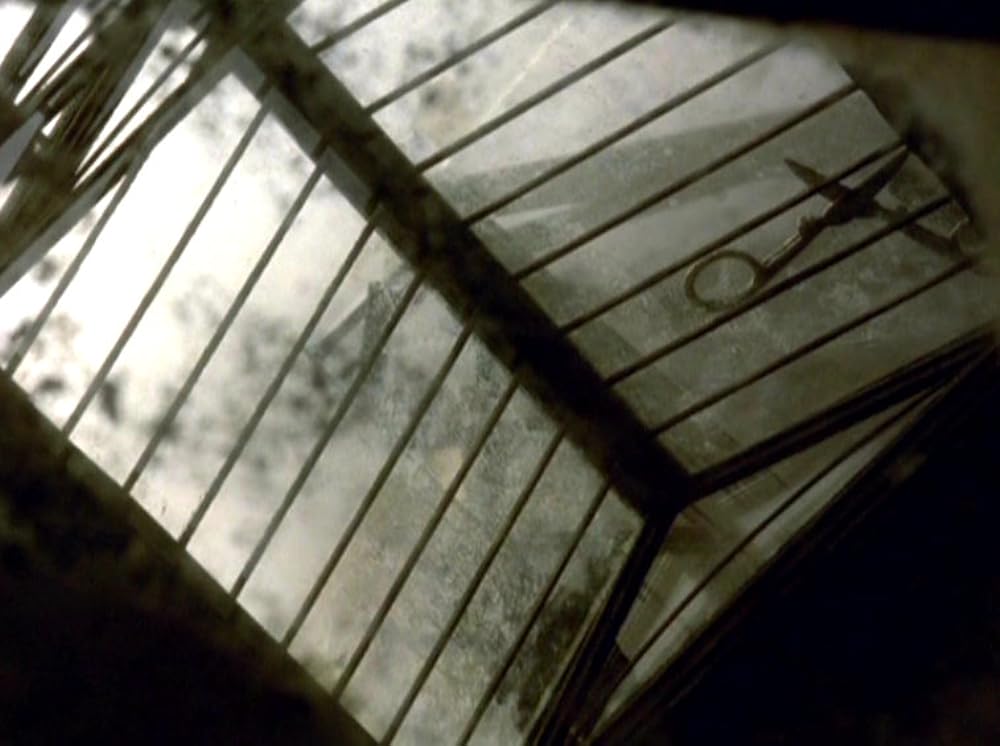 ストリート・オブ・クロコダイルの画像