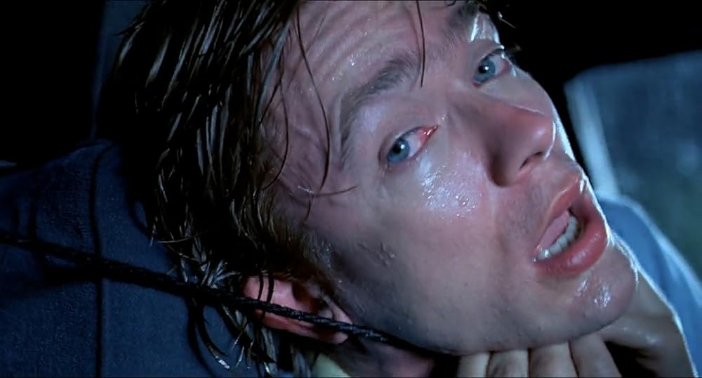 シャドーの画像