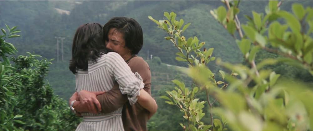 動脈列島の画像