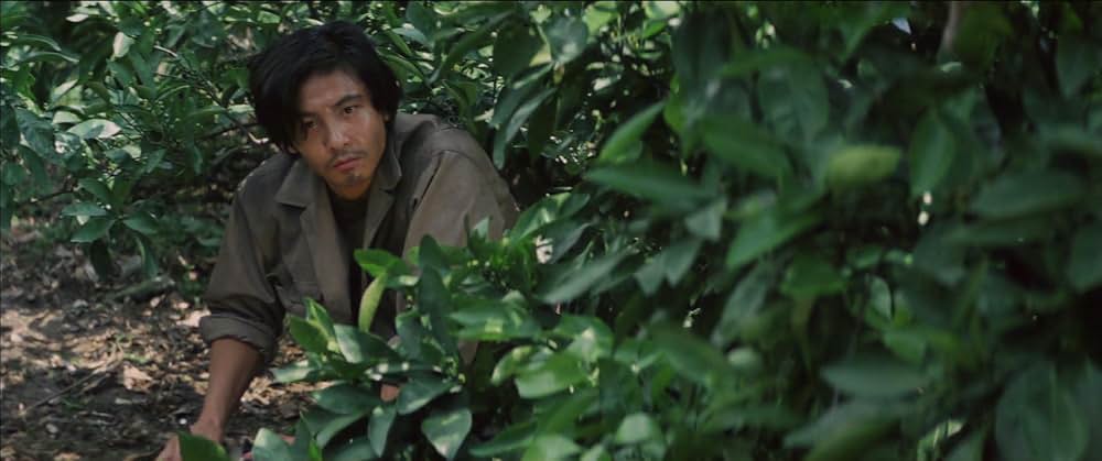 動脈列島の画像