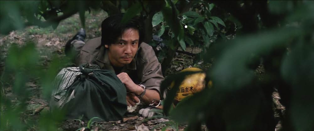 動脈列島の画像