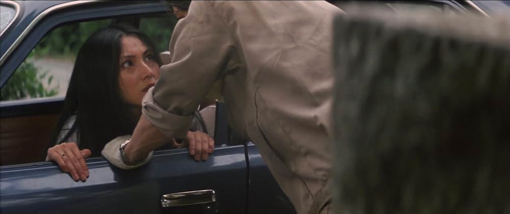 動脈列島の画像