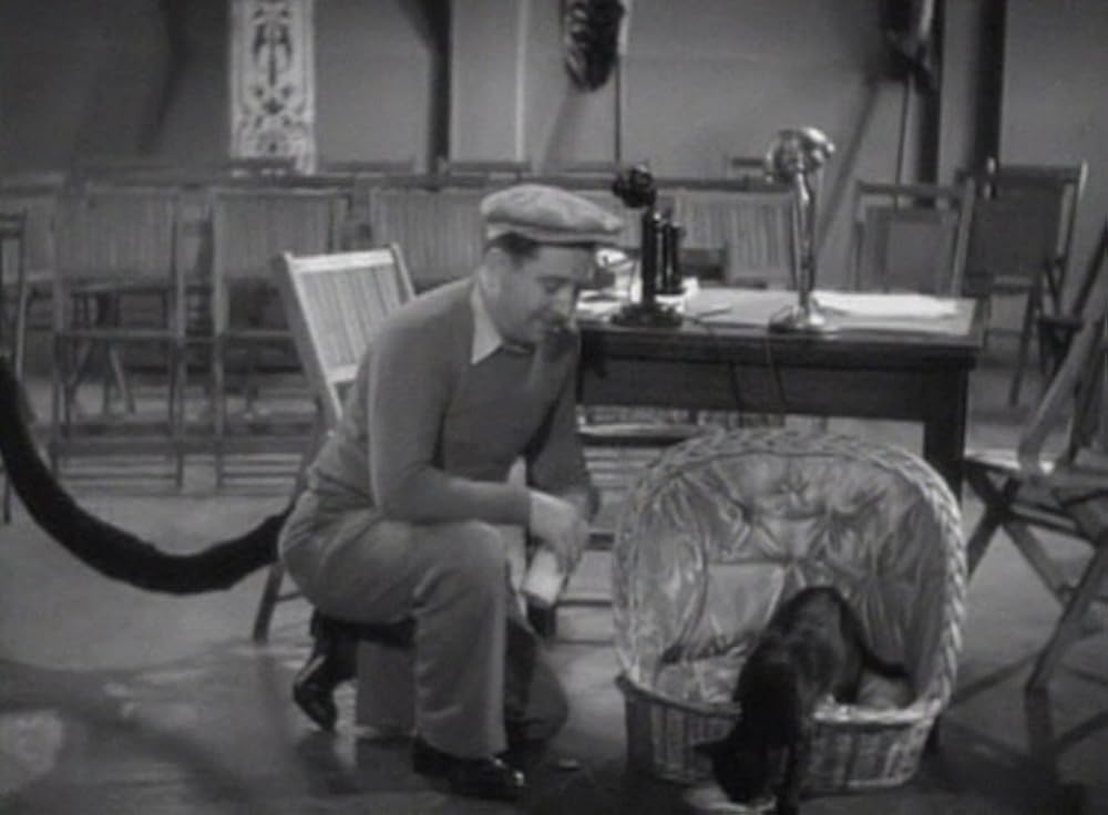 フットライト・パレードの画像