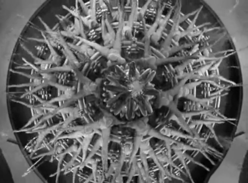 フットライト・パレードの画像