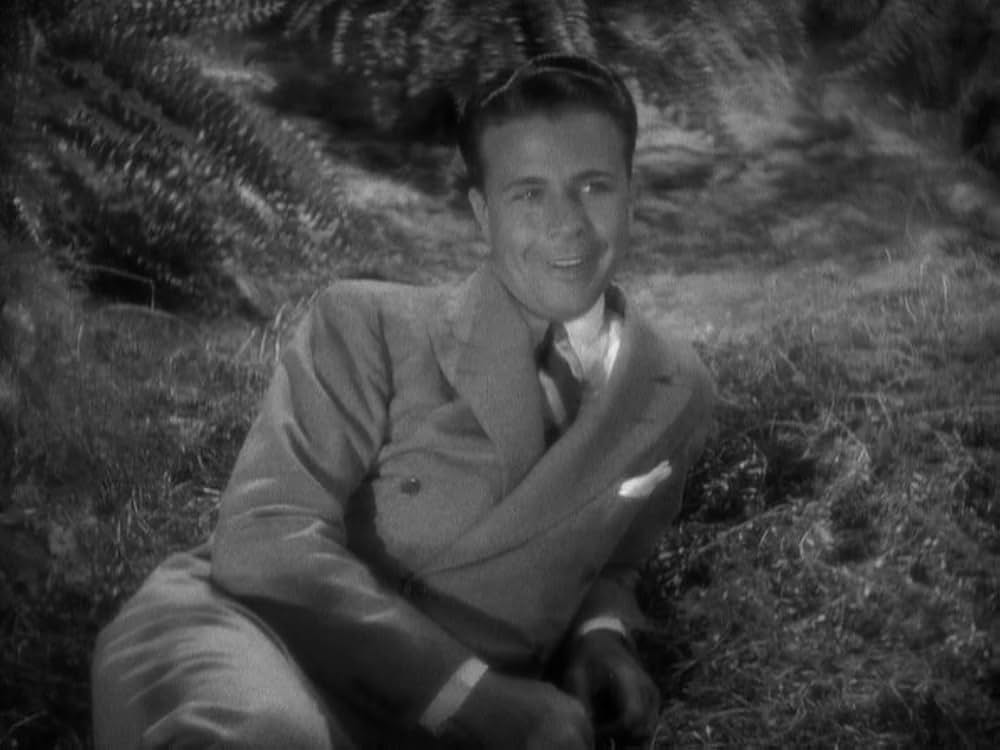 フットライト・パレードの画像