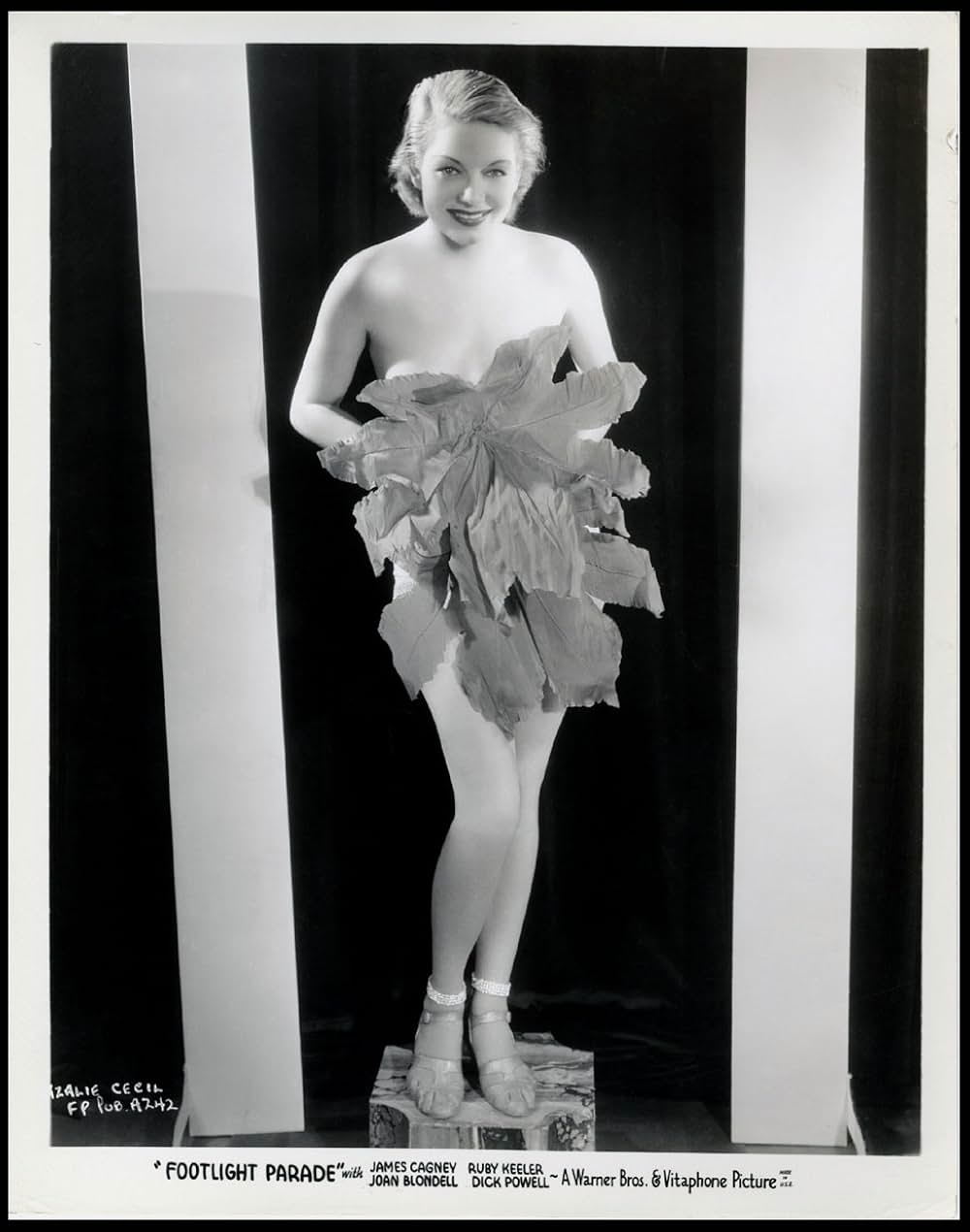 フットライト・パレードの画像