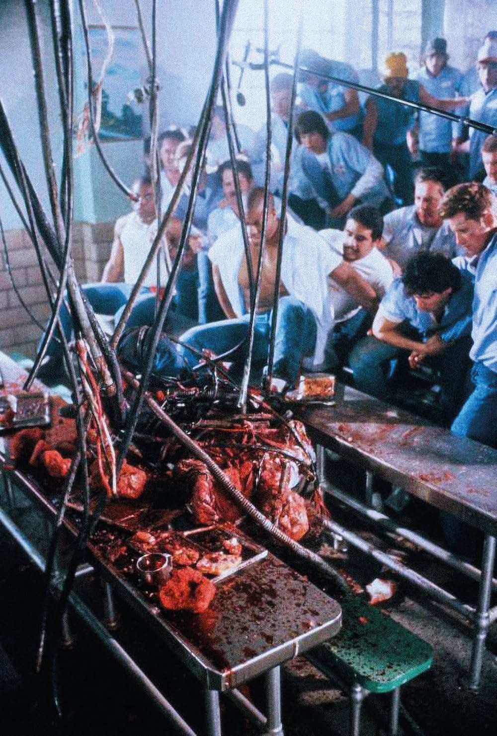 プリズンの画像