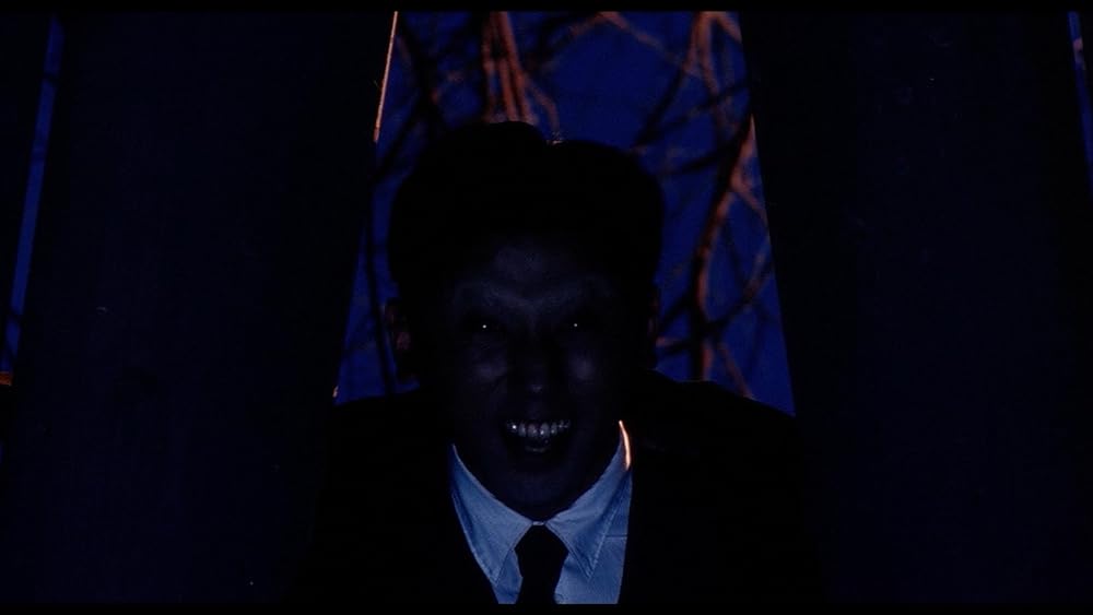 双生児 GEMINIの画像