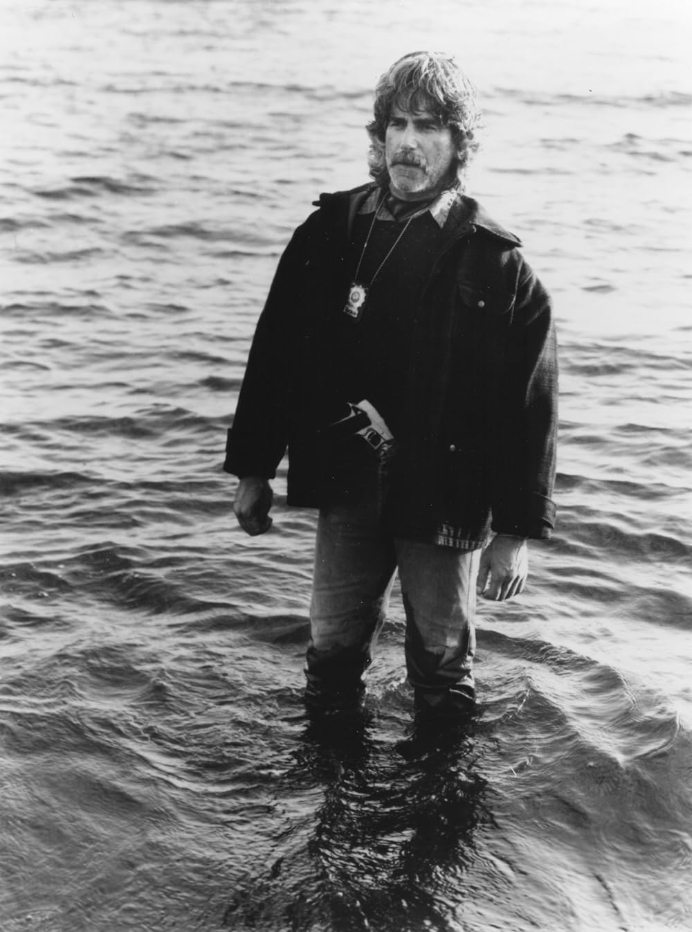 シェイクダウンの画像