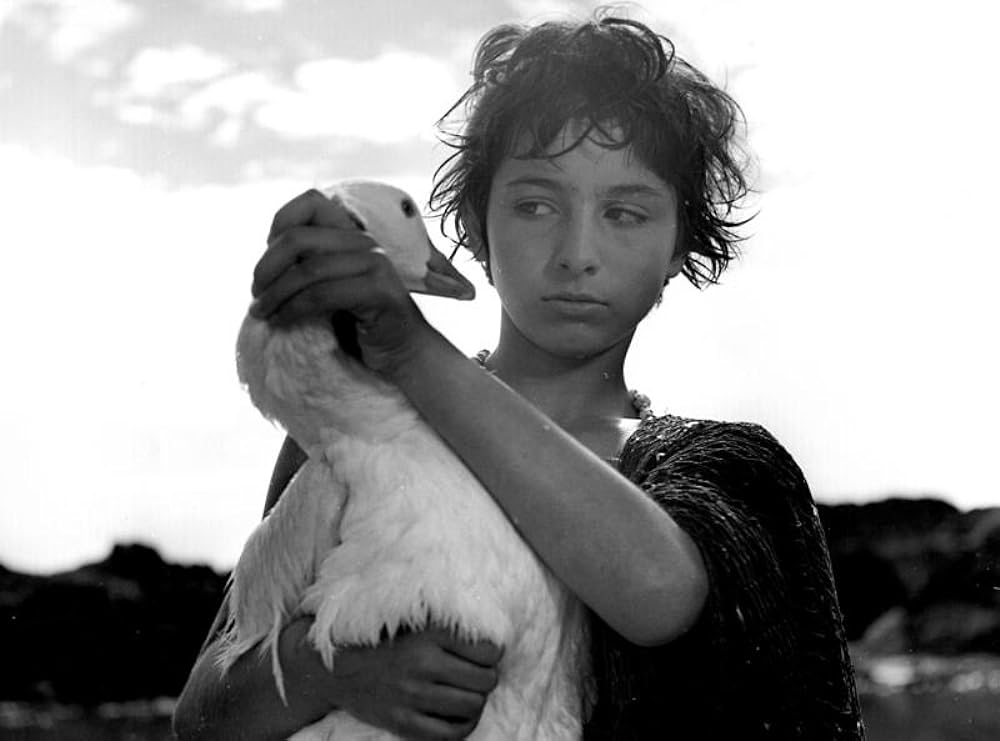 春のめざめの画像