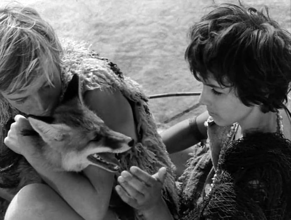 春のめざめの画像