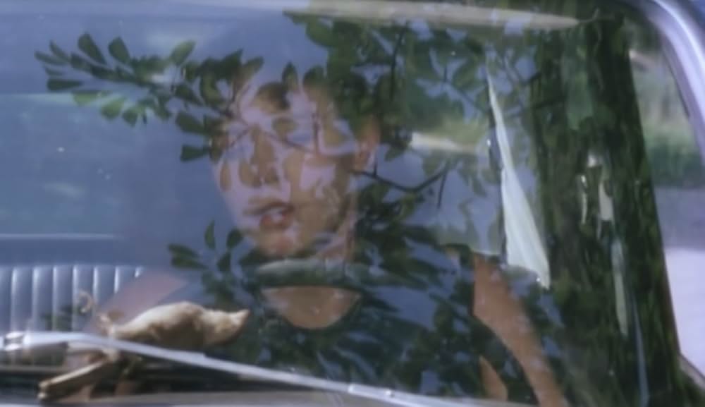 アリスまたは最後の家出の画像