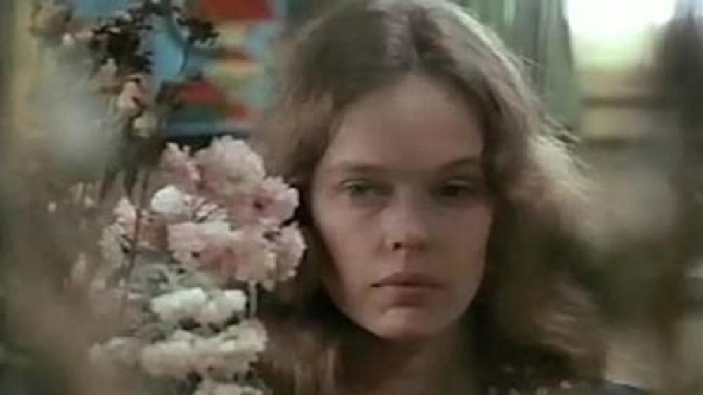 「ヘキサゴン 恐怖の館」の画像