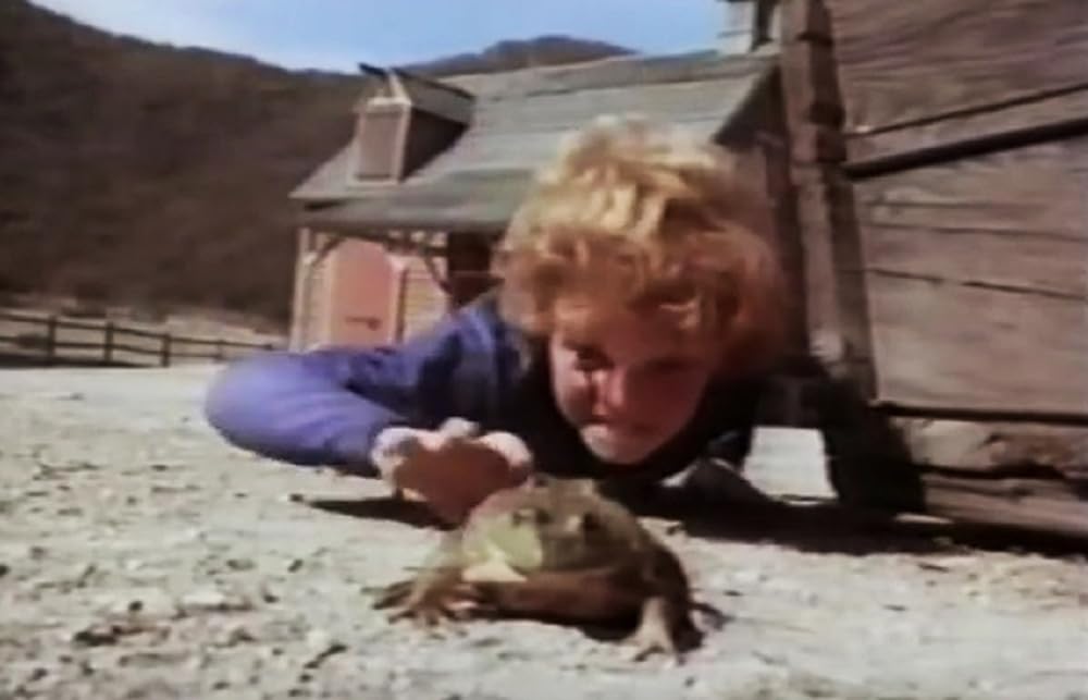 「ヘキサゴン 恐怖の館」の画像