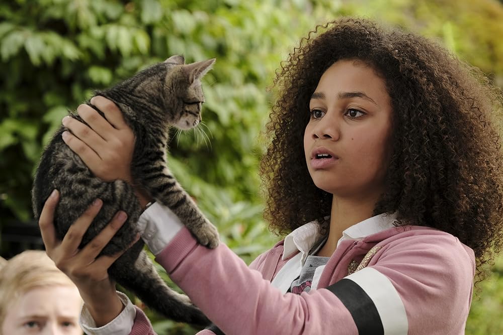 アップサイドダウン・マジックの画像