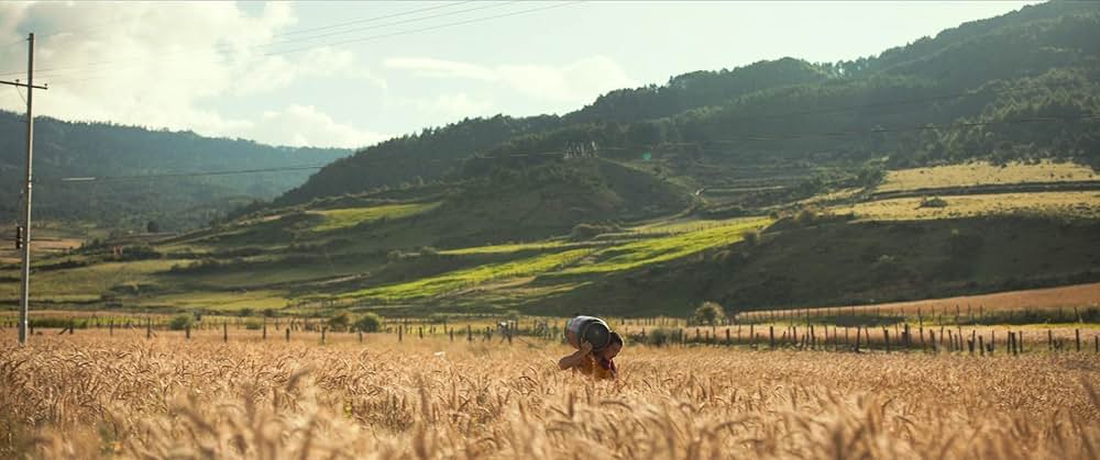 お坊さまと鉄砲の画像