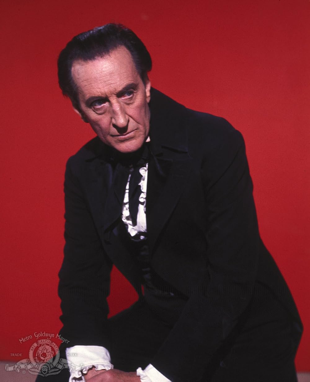 黒猫の怨霊の画像