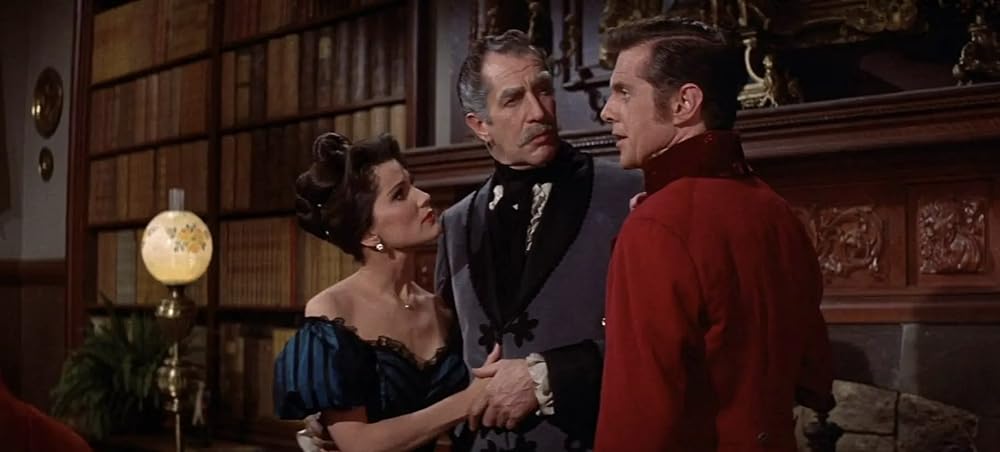 黒猫の怨霊の画像