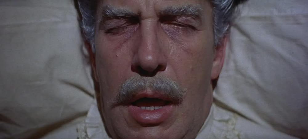 黒猫の怨霊の画像