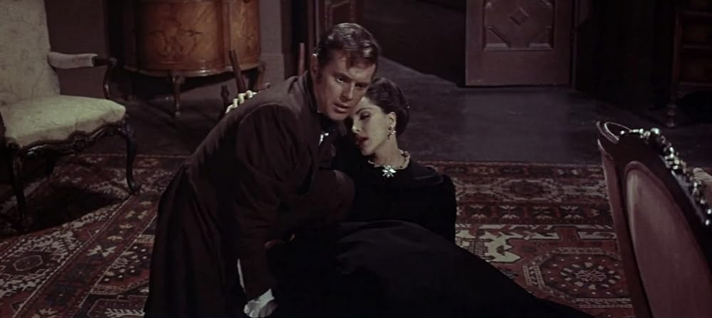 黒猫の怨霊の画像