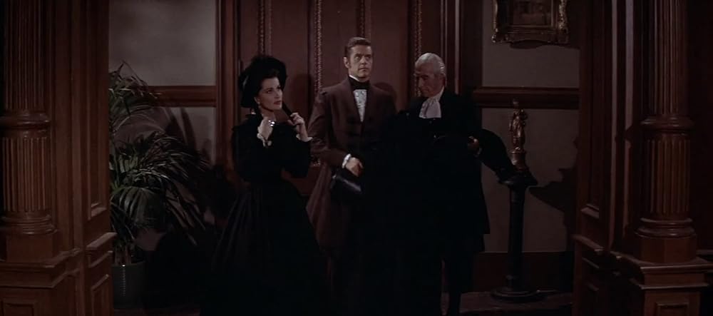 黒猫の怨霊の画像