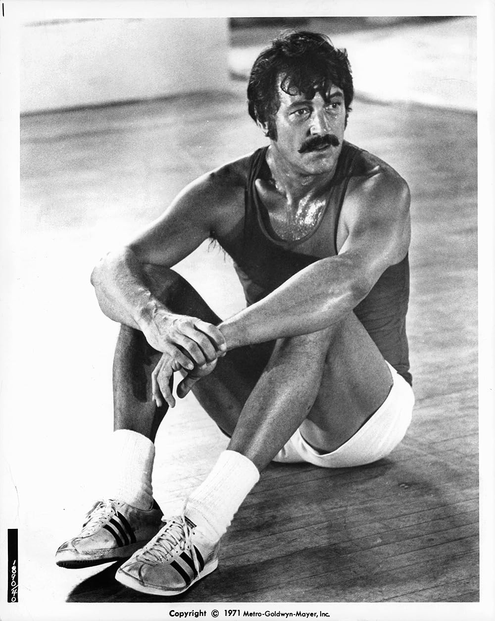 課外教授の画像