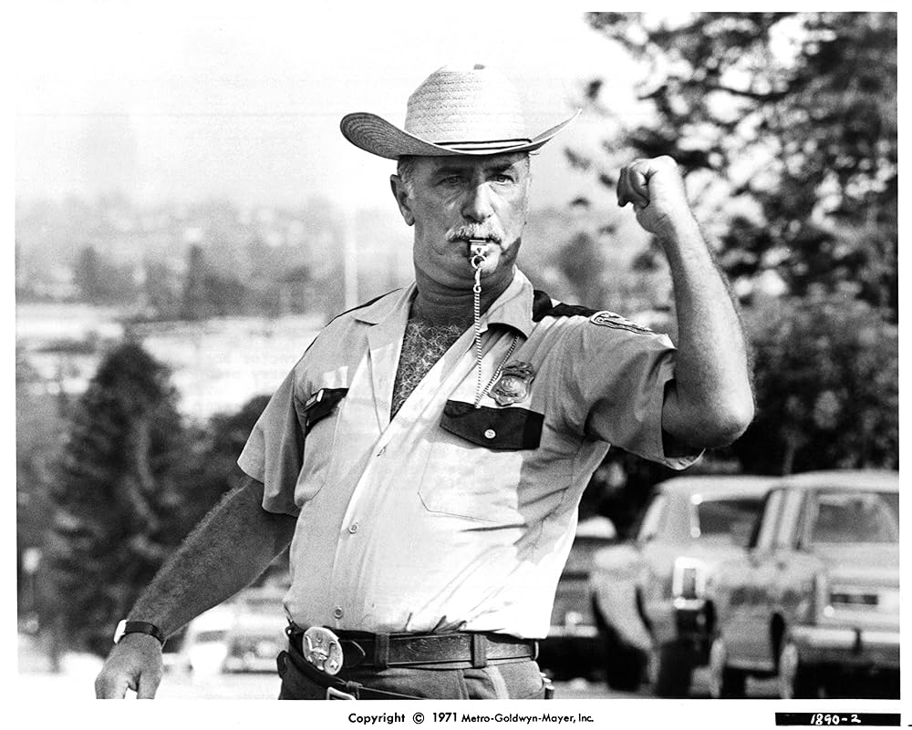 課外教授の画像