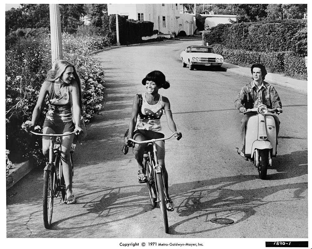 課外教授の画像