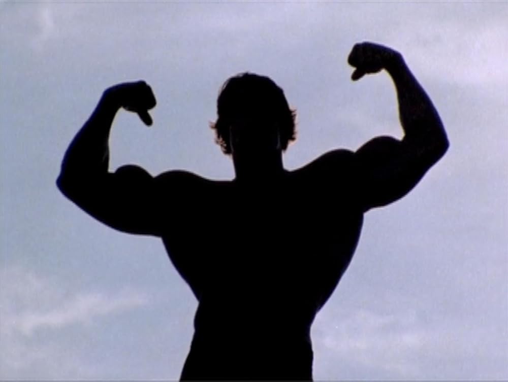 パンピング･アイアン (鋼鉄の男)／アーノルド・シュワルツェネッガーの鋼鉄の男の画像