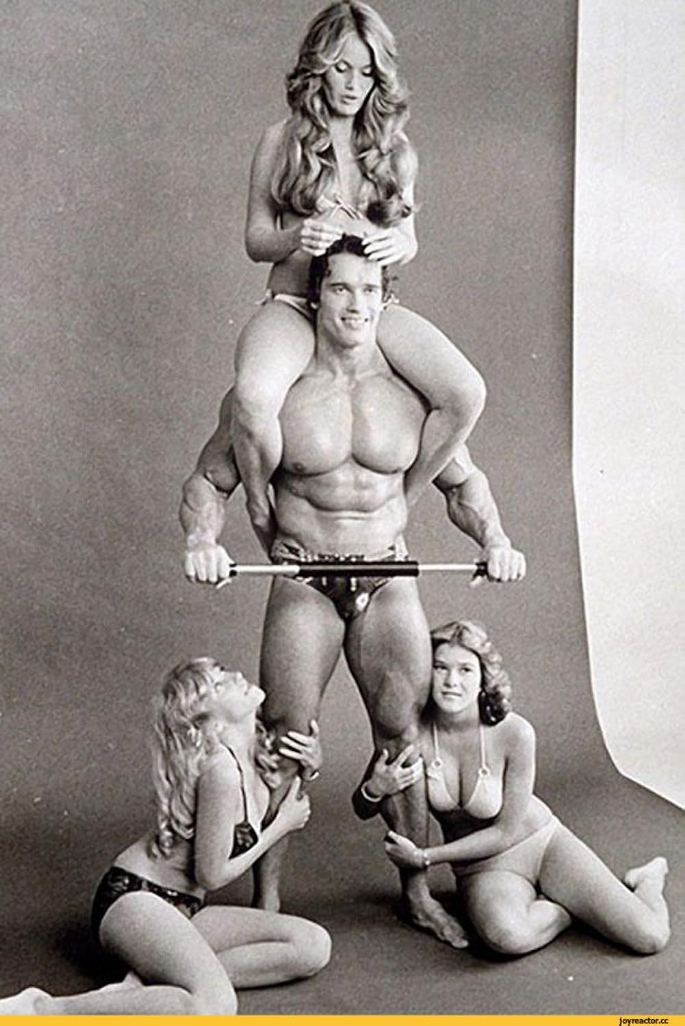 パンピング･アイアン (鋼鉄の男)／アーノルド・シュワルツェネッガーの鋼鉄の男の画像