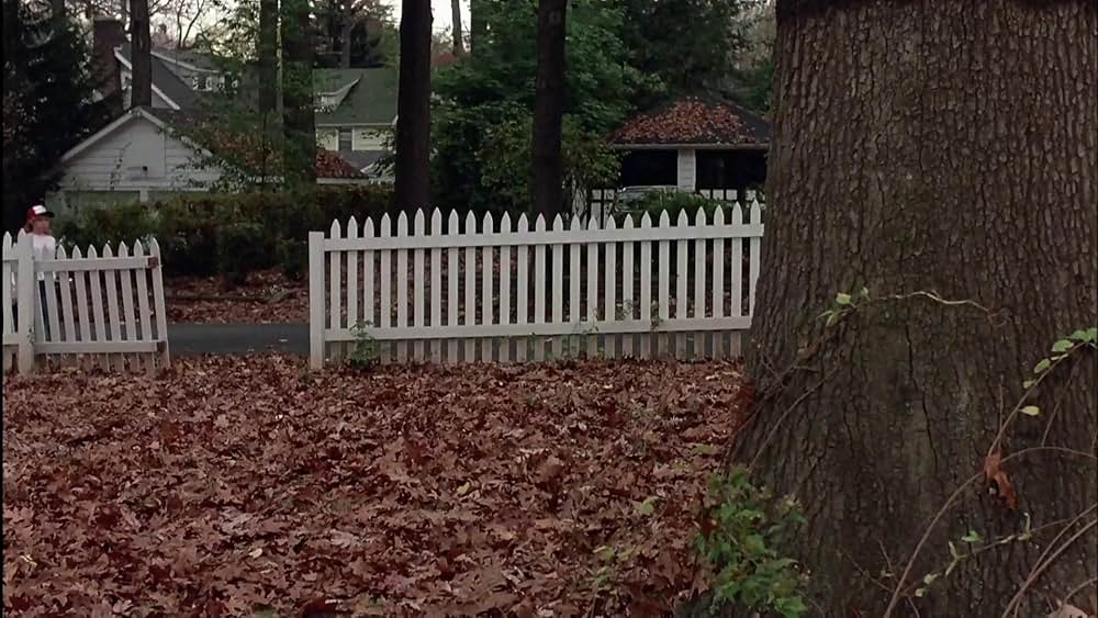 ジェニファーの恋愛同盟の画像