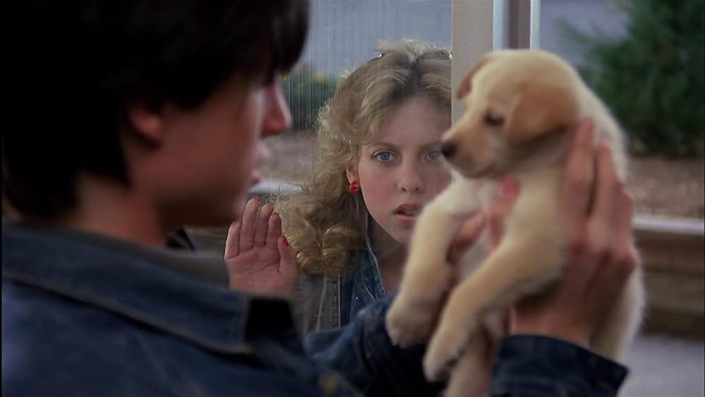 ジェニファーの恋愛同盟の画像