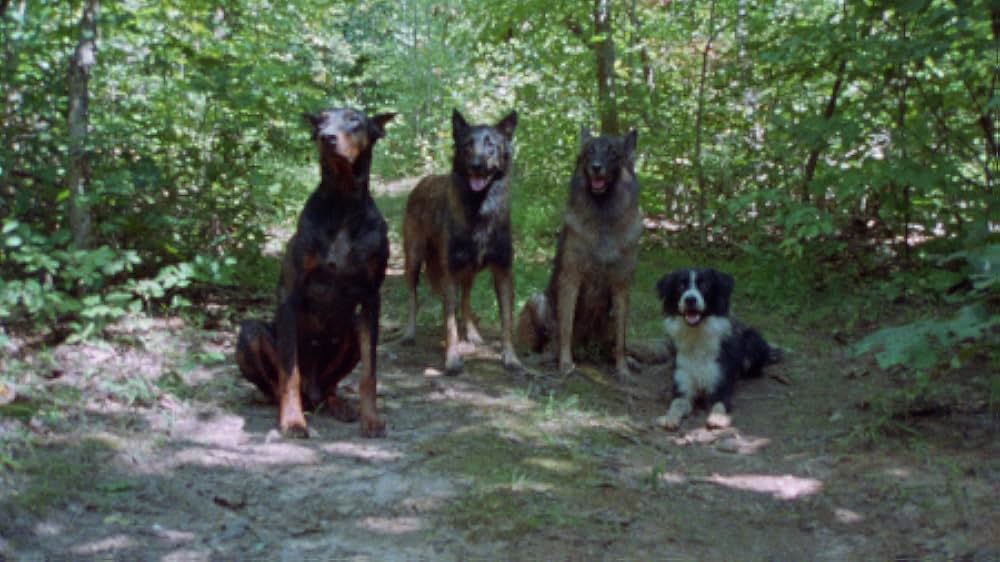 「インディアン・ゾンビ／死霊の詰合せ」の画像