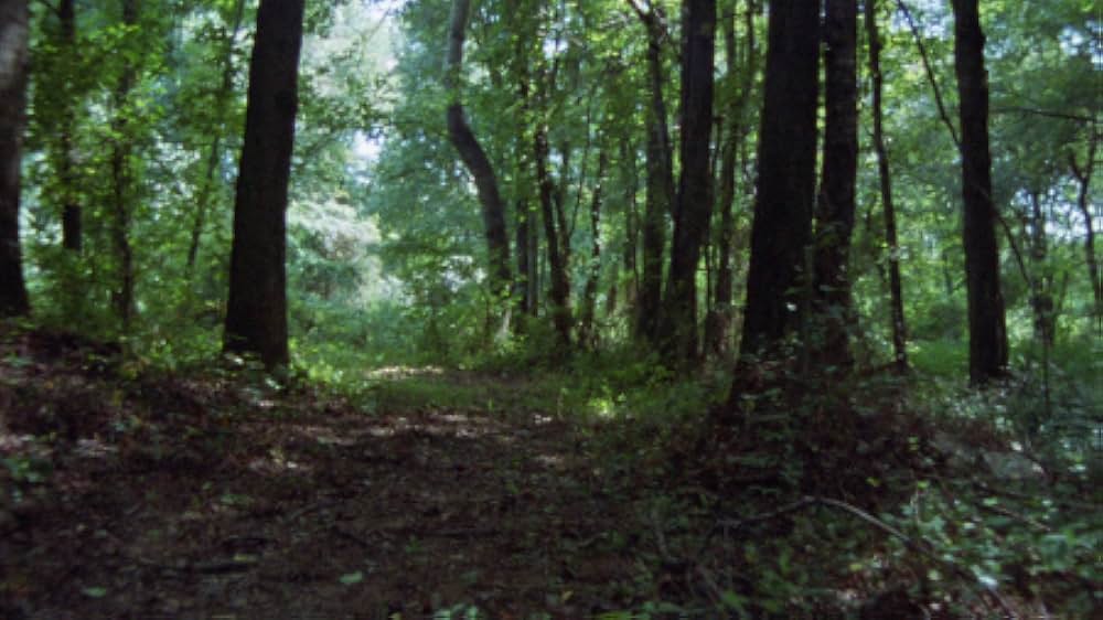 「インディアン・ゾンビ／死霊の詰合せ」の画像