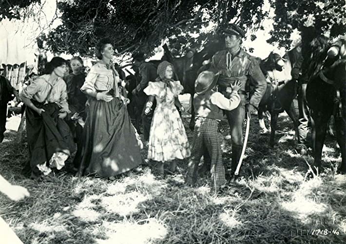 平原の待伏せの画像