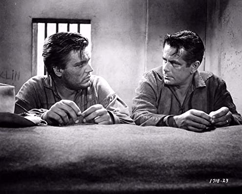 平原の待伏せの画像