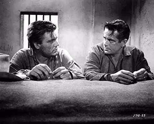 「平原の待伏せ」グレン・フォード & ネビル・ブランドの画像