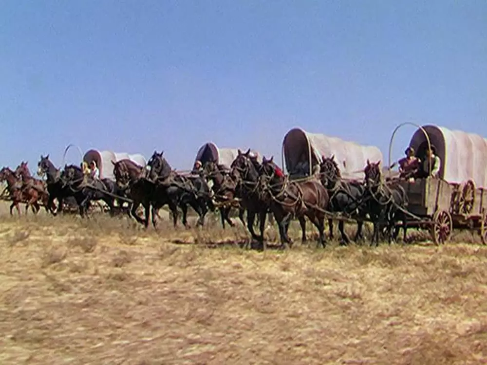 平原の待伏せの画像