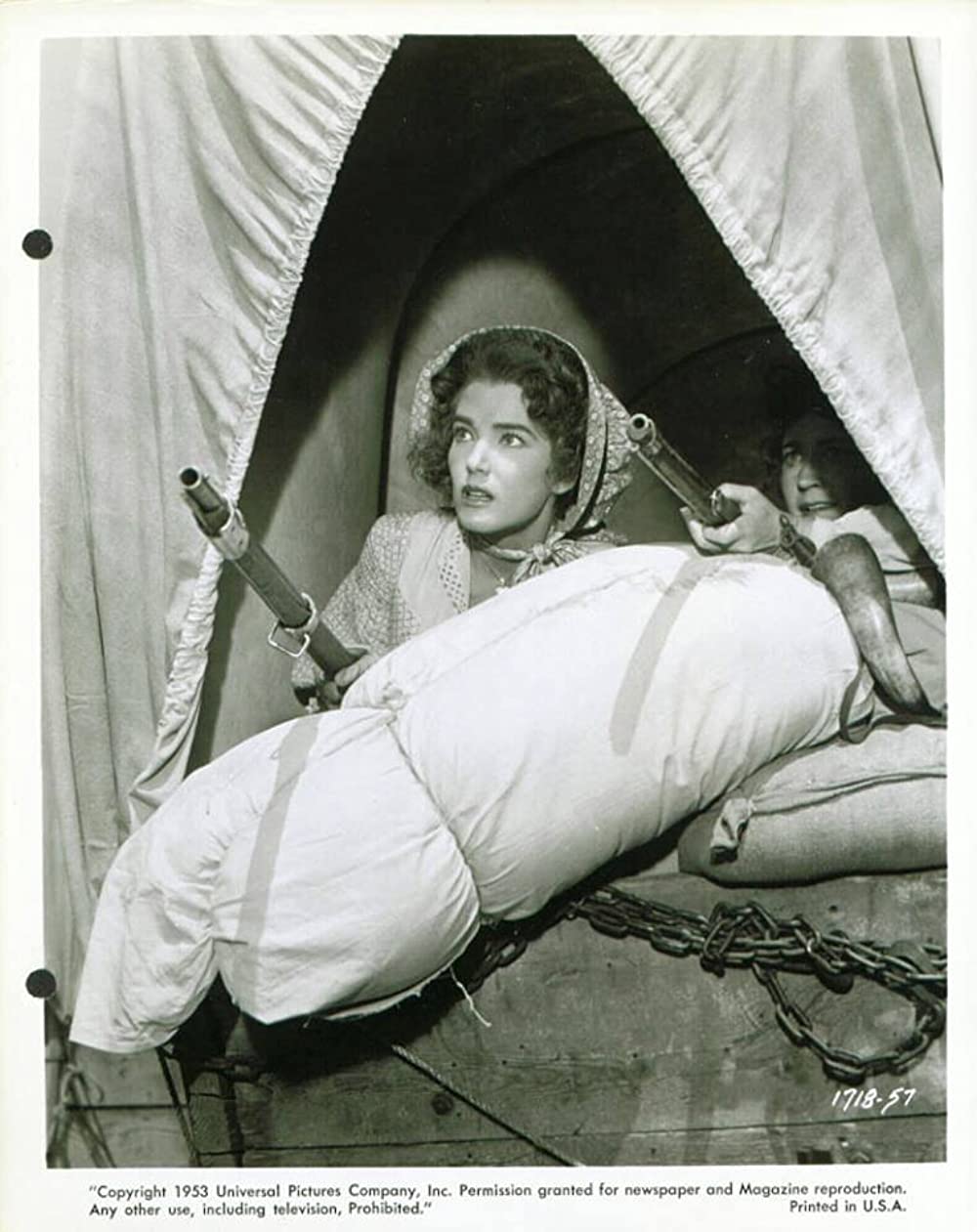 平原の待伏せの画像