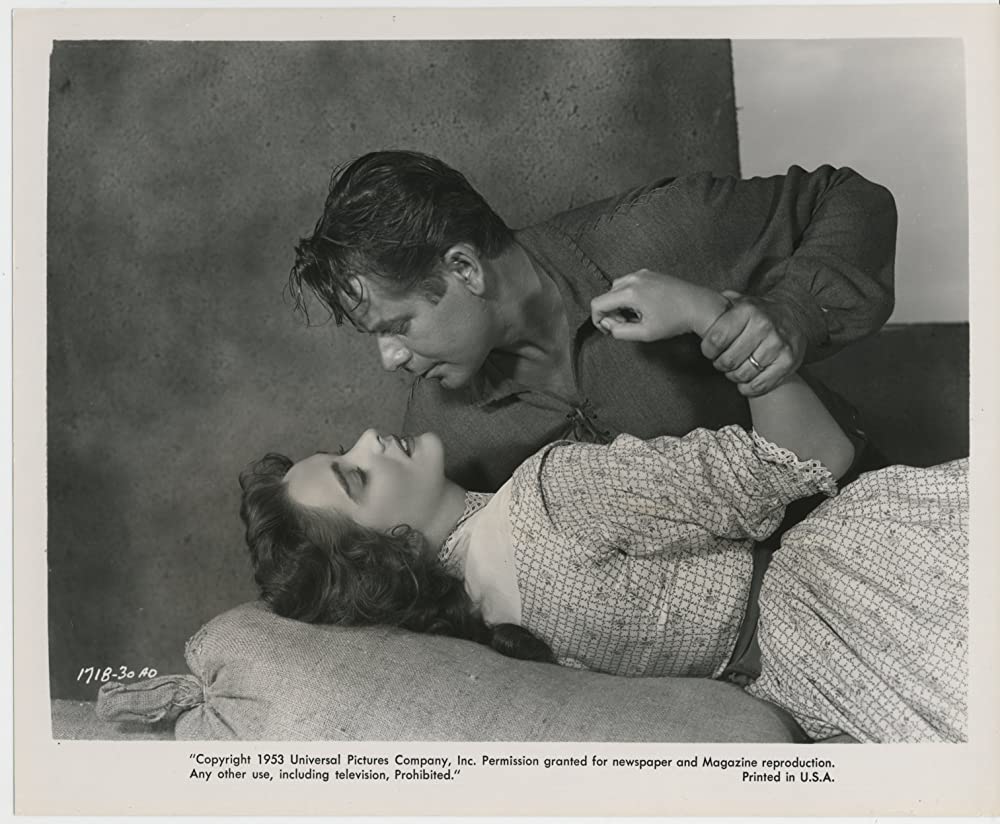 平原の待伏せの画像